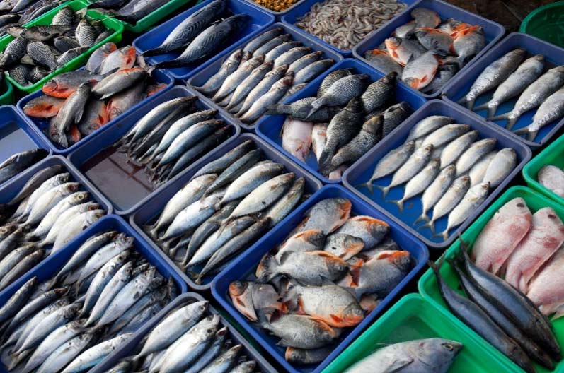 澳柯玛：休渔期临近，鲜美海鲜囤起来