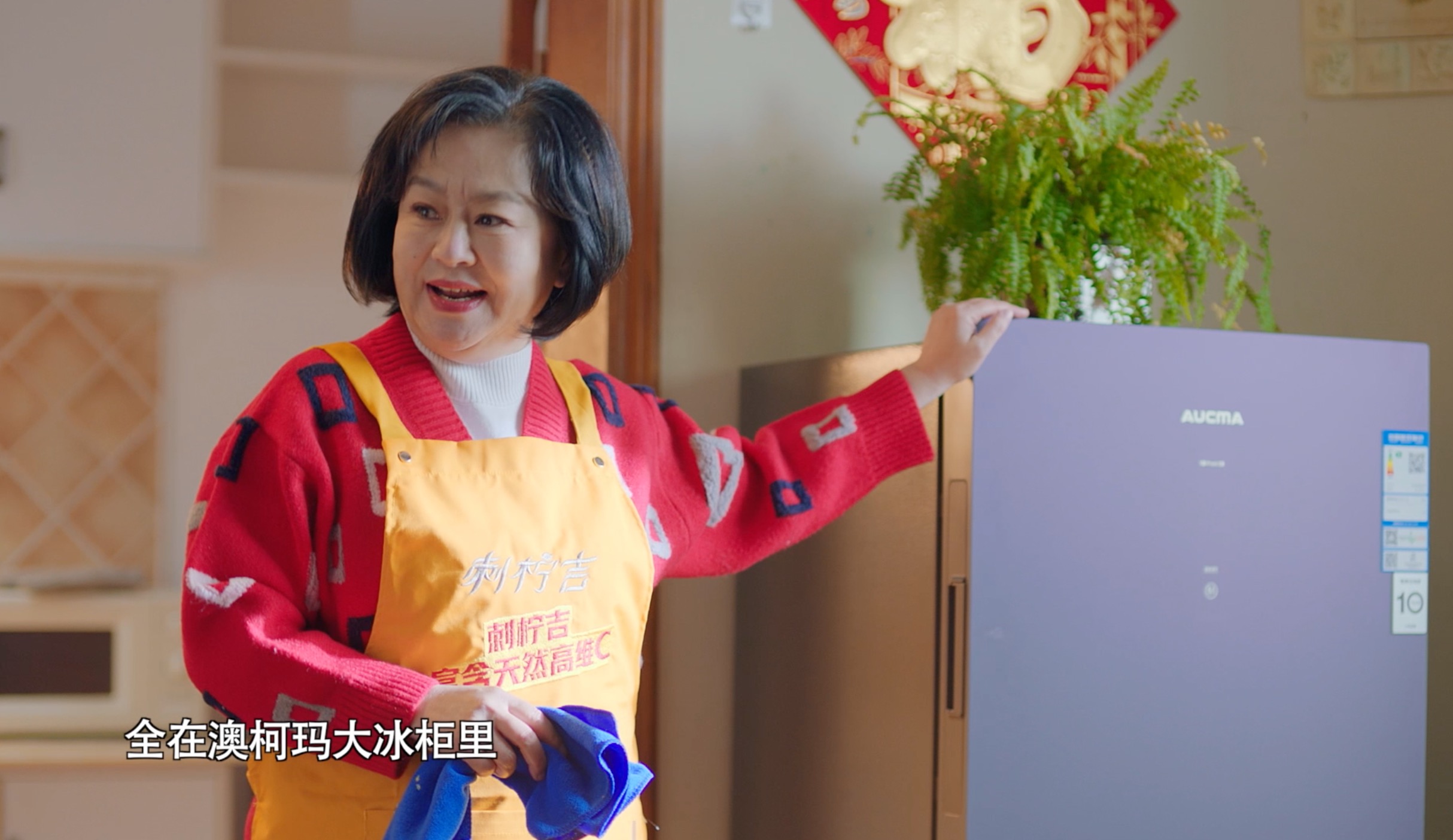 CCTV-3贺岁情景喜剧《吉聚欢喜》：冰柜找着伯乐了